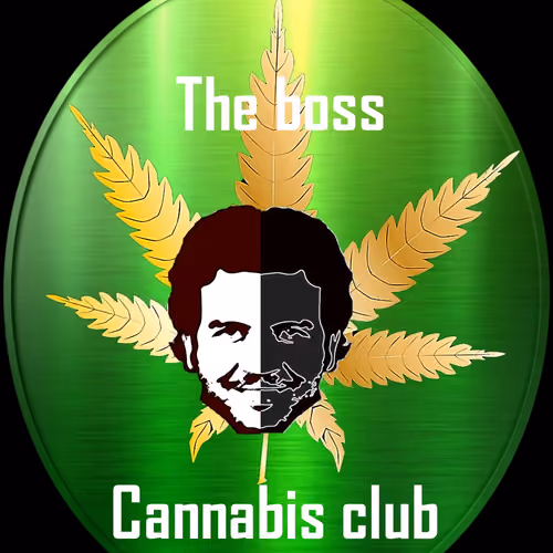 THE BOSS CANNABIS CLUB