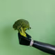 The Broccoli Bank - old