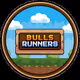 THE BULLS RUNNERS