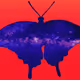 The Butterflies From Deepspace