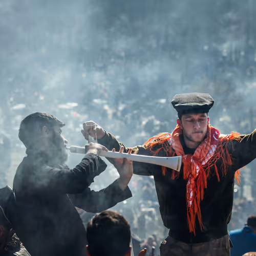 The Camel Wrestling - old