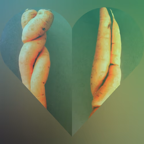 The Carrots' Love