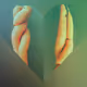 The Carrots' Love