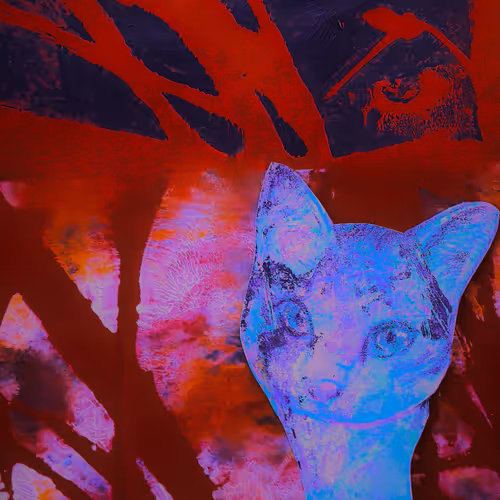 The Cat Looking Up 1