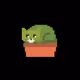 The Catcus Collection