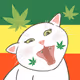 The Cathereum 222 #Laugh out loud - old