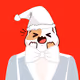 The Christmas Cats - old
