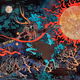 The Code Path Of The Warrior