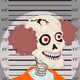the collection of skeleton