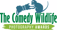 The Comedy Wildlife