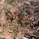 The Cosmic Swirl Collection