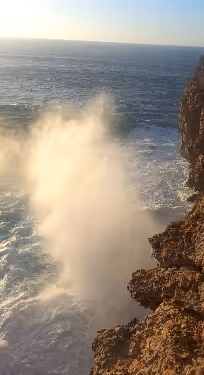 The creation collection.