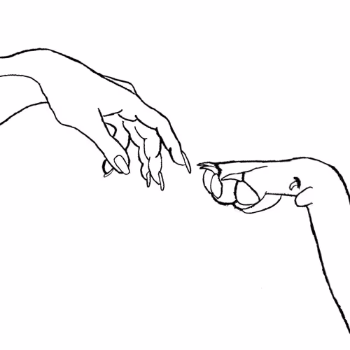 the creation of true love