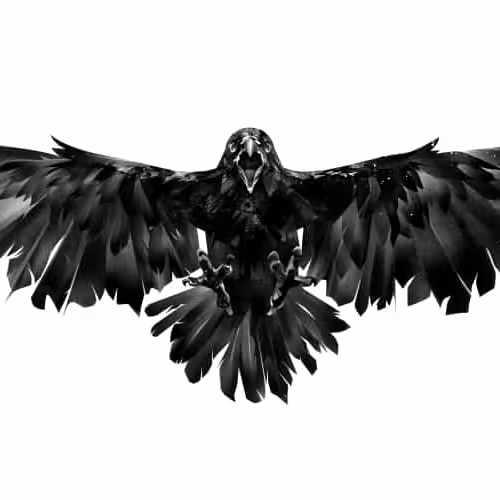 The Crow (Brandon Lee)