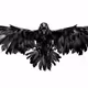 The Crow (Brandon Lee)