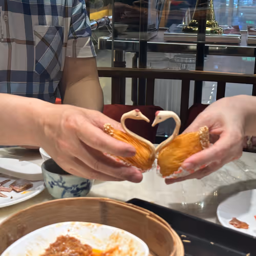 The days of the coin circle