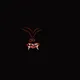 The Night Demons Collection