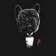 the dogfather 717 - old