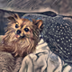 The dogside