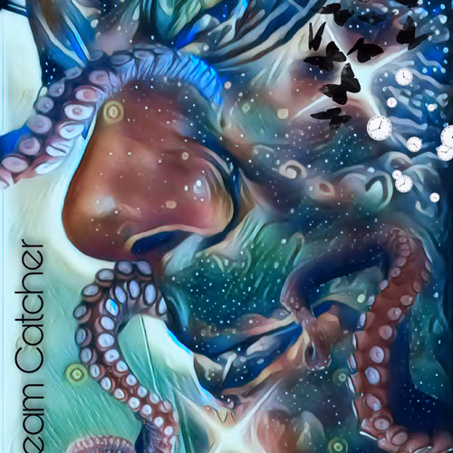 The Dream Catcher ( first contact).