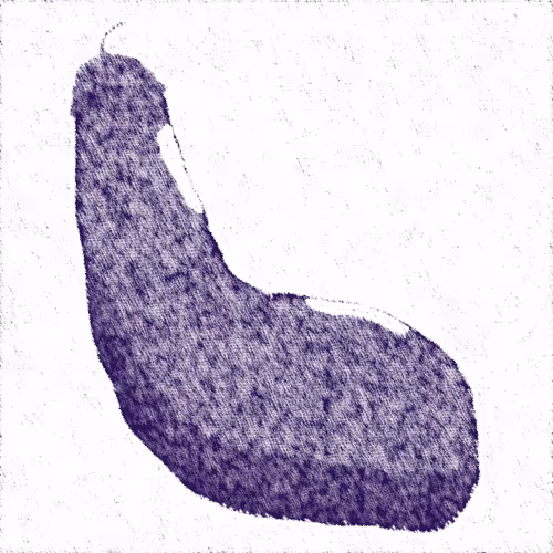 The easter eggplants