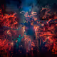 The Elementals Portrait