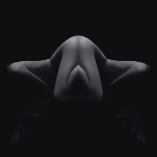 The Entanglement