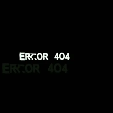 THe ERROR 404