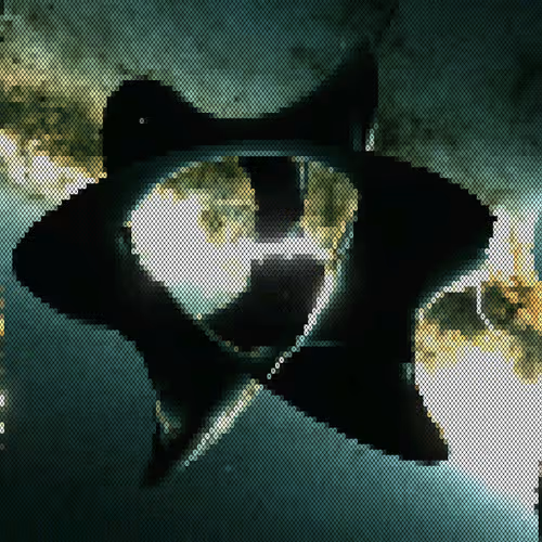 The Extended Present - Inside Elementary Structures #004004