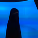 The Face of The Other V3