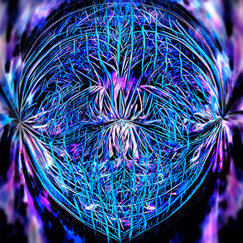 The Faces of The Plants