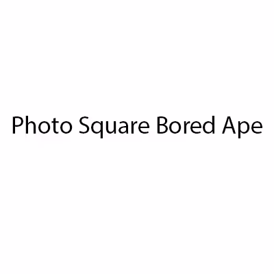 The First 1000 Photo Bored Ape