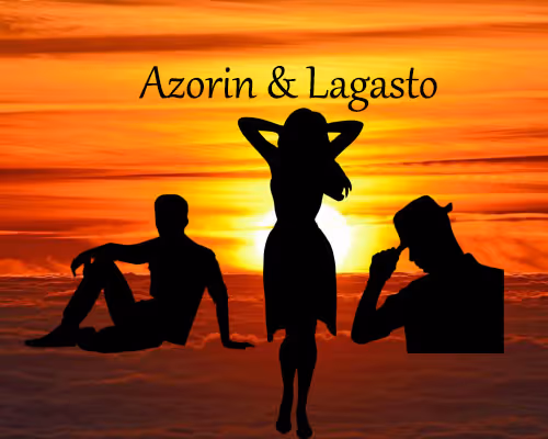 The first "2 in 1" collection NFT : fantasy novel + art