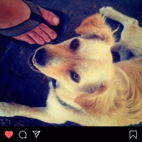 The first ever instagram post