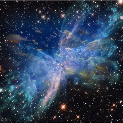 The fish nebula - old