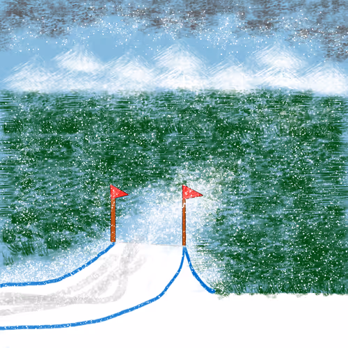 The Fruit Snowboarders