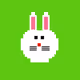 THE FUNNY BUNNIES