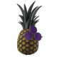 The Gale Pineapple