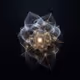The Geometry of a Quiet Mind