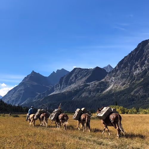 The Glacier Adventure