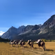 The Glacier Adventure