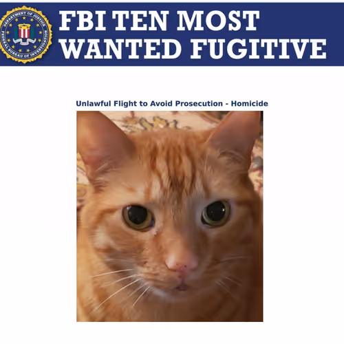 The goof Troop - old