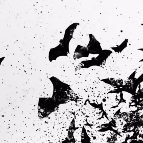 The Gotham Collection