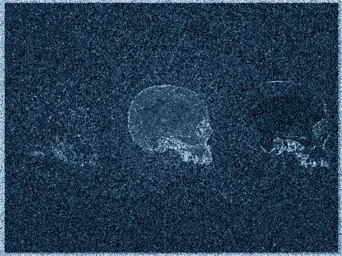 The Great Color Skulls