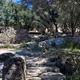 The Greek Collection