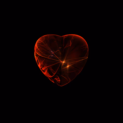 The Heart has many forms