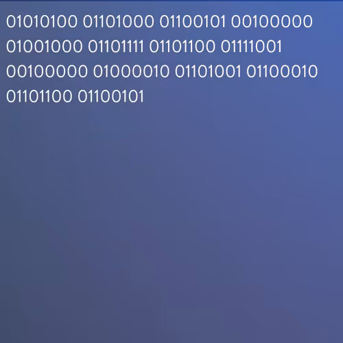 The Holy Bible on Binary Code