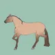 The Horse Diaries - old