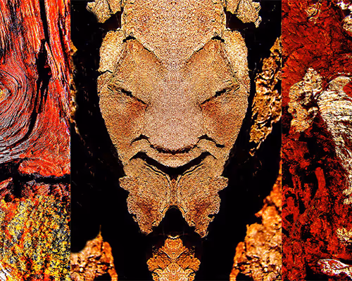 The illusions of Nature