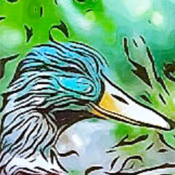 The Inquisitive Duck